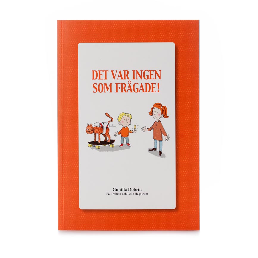 Bok "Det var ingen som frågade"